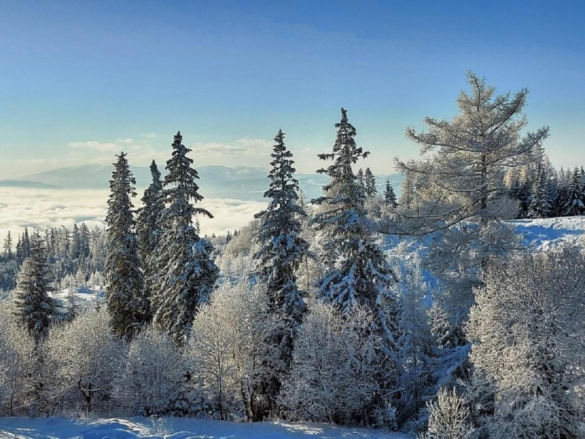 Štrbské Pleso - rezidencia ARMERIA apt 30 Exteriér fotografie
